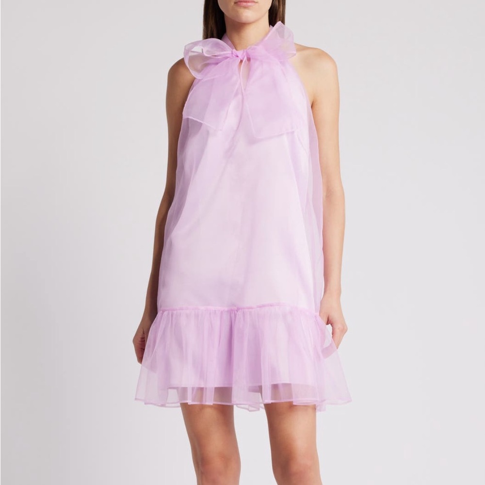 Chelsea28 Organza Minidress